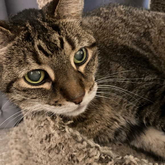 Meet your Posher, Jessica - Picture 3 of 3